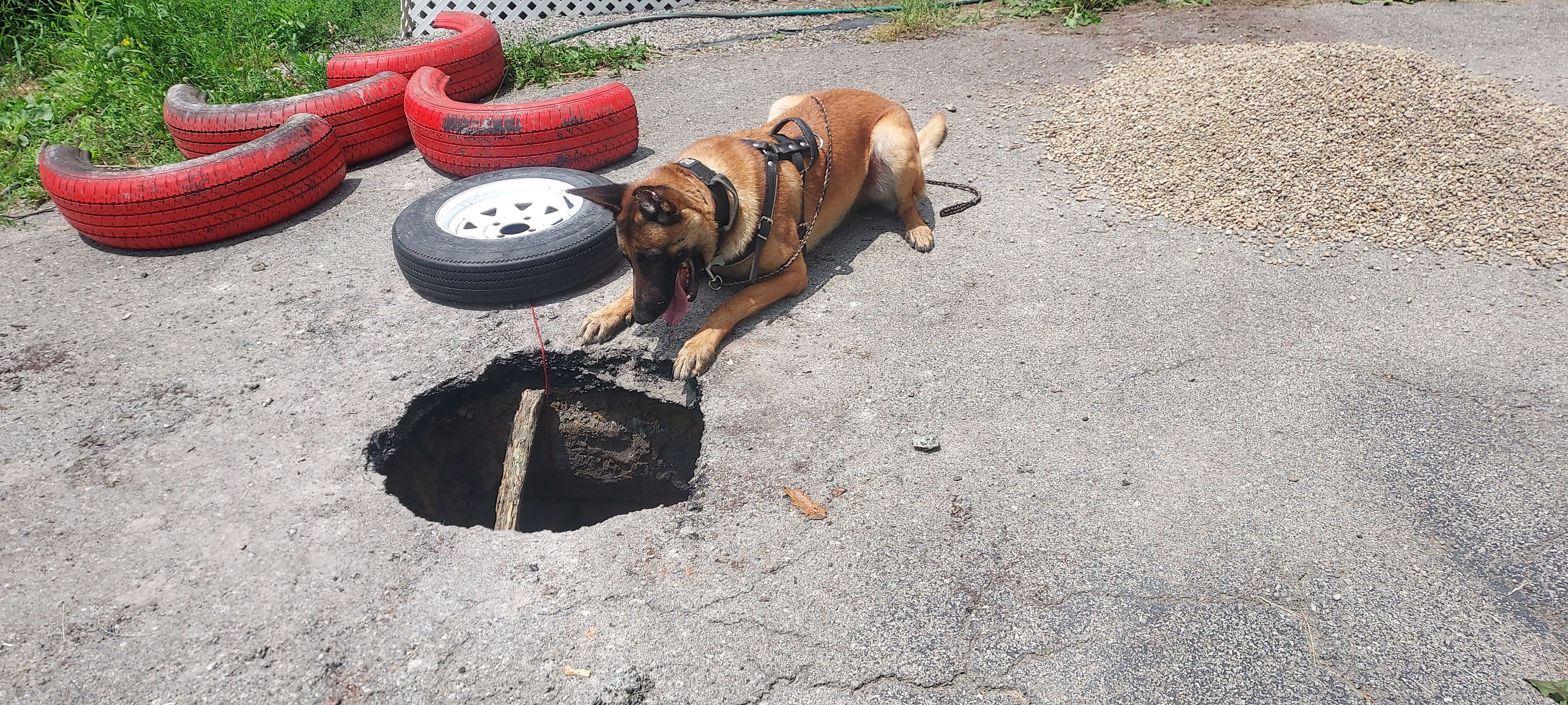 Riot in crime scene stance